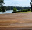 Teak wood